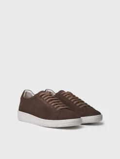 DALMAU - Men's nubuck leather trainer with laces